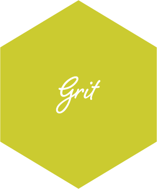 grit-small-color